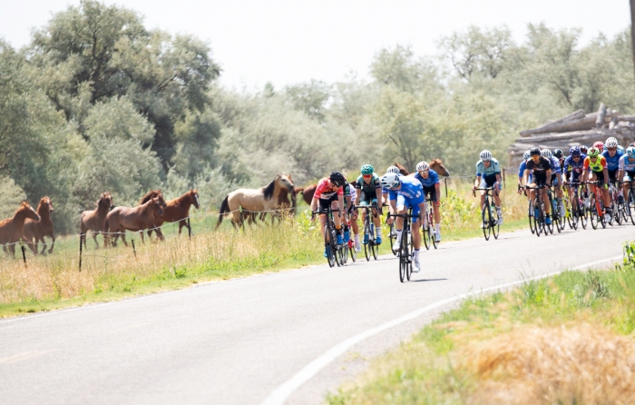 The horses are wondering why a break hasn't formed yet. Stage 2, 2019 Tour of Utah. Photo by Cathy Fegan-Kim