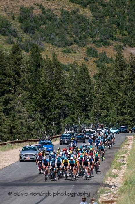 The peloton rides up a steep treelined ramp on the Wolf Creek Ranch climb. Stage 6, 2019 LHM Tour of Utah (Photo by Dave Richards, daverphoto.com)