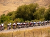 The Peloton.