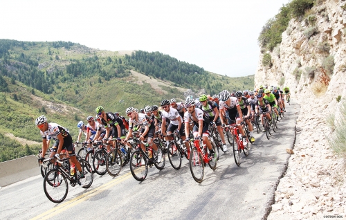 The peloton in North Ogden Canyon during Stage 5 of the 2016 Tour of Utah. Photo by Cathy Fegan-Kim, cottonsoxphotography.com