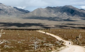 Bike Touring Beaver Dam Mountains Utah