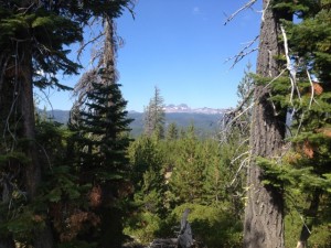 Great views on the marathon course in Bend