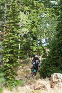 The Park City Point to Point travels 75 miles over mostly singletrack. Riders in the 2012 race shown in Deer Valley. Photo:  Chris See, fredmarx.photoshelter.com