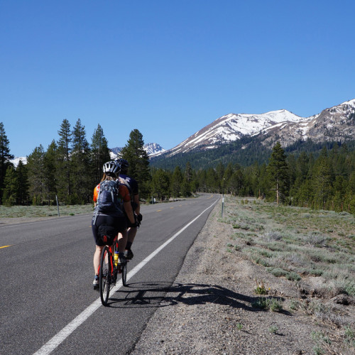 Carson Pass  background.