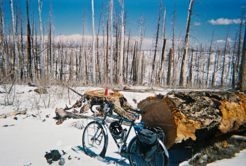 Kaibab Plateau Summit