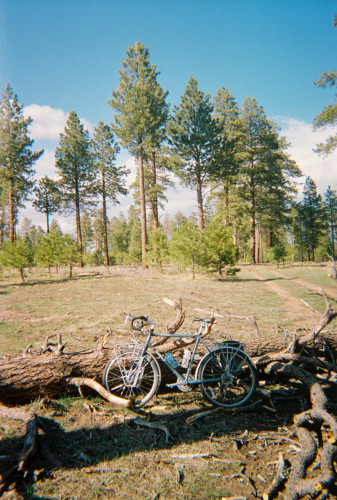 KAibab Plateau