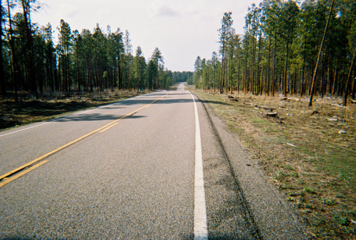 Kaibab Plateau