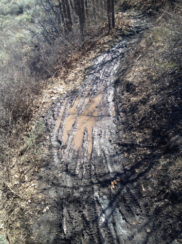 It's best to stay off the trails when they are muddy to avoid permenant damage. Photo by Rick Fournier.