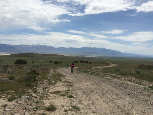 Wild Horse Dirt Fondo