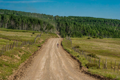 2015 Fire Road 100