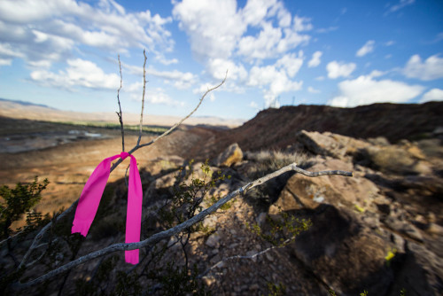 Pink ribbon placed as part of a recent DMBTA project. Photos by Lukas Brinkerhoff