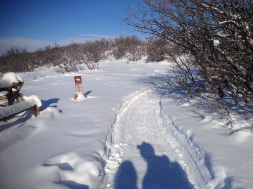 ThinAir Cycles is grooming Fat Bike Trails in Corner Canyon. Photo by Mike Rossberg