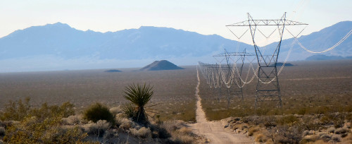 A powerline road north of Goffs, California. Photo by John Roberson