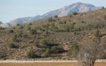 The roads in and scenery in Southern Utah are perfect for a bike race.