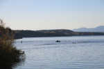 Swimmers on course at Red Fleet Reservoir in the 2016 DinoTri in Vernal, Utah.