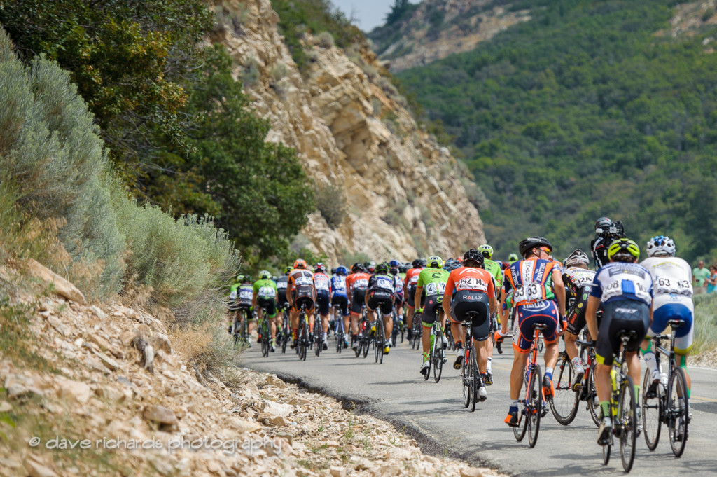 The peloton climbs towards the KOM on North Ogden Divide during Stage 5, 2016 Tour of Utah. Photo by Dave Richards, daverphoto.com