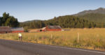 Heading South on Highway CA3 in early morning. Photo by Howard Shafer