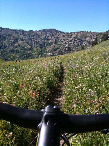 The Central Wasatch National Conservation and Recreation Area Act of 2016 would protect and preserve the Central Wasatch in Utah. While the bill is for the most part balanced, it may impact several key mountain bike trails. This trail is Alta, and would not be impacted by the bill. Photo by Dave Iltis