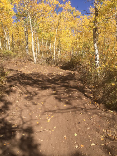 Funds are needed to preserve Bonanza Flat between Big Cottonwood Canyon and Park City. Photo by Charlie Sturgis