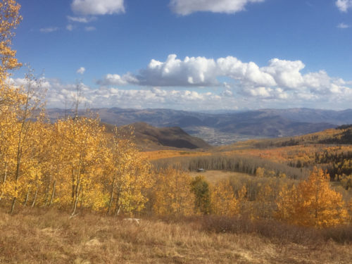 Funds are needed to preserve Bonanza Flat between Big Cottonwood Canyon and Park City. Photo by Charlie Sturgis