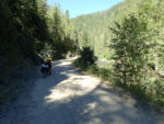 “Wild section” of the “Nor-Pac Trail.” Photo by Roger Crandall