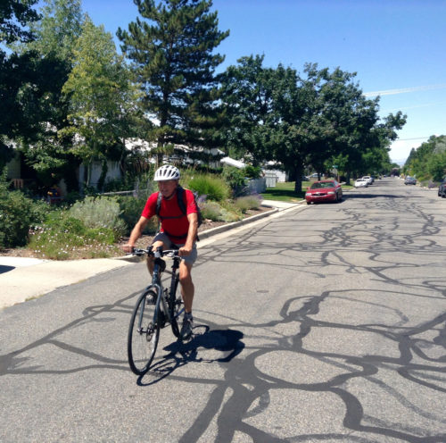 Bicycle Commuter