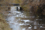 Foam on the water of the Jordan River. Photo by Dave Iltis