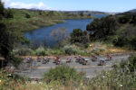 Amgen Tour Of California Women’s Race 2019 – Stage 1