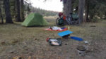 The campsite on the East Fork of the Sevier River. Photo by John Higgins