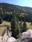 Aspen and tufa formations. Bikepacking the Valle Grande. Photo by Don Scheese