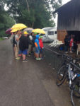 Umbrella group watching the Tour on television. Photo by Enrique Arce-Larreta