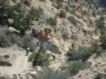 Ashely Patterson descending Skyline Drive in Central Utah. Photo by Tom Diegel