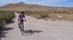 29a Antelope Island Cycling