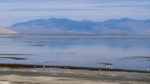 5a Antelope Island Cycling