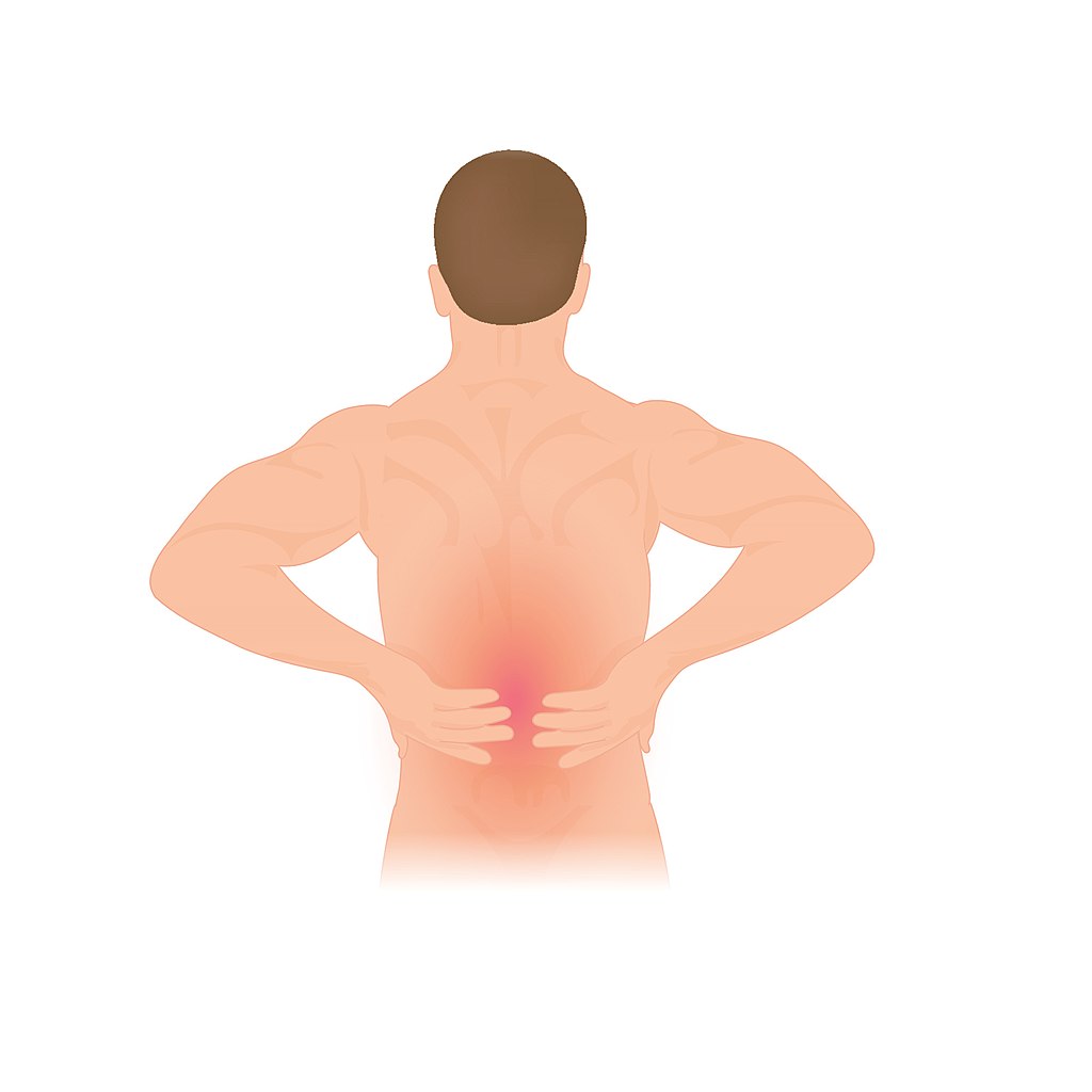 Do Tight Hamstrings Cause Low Back Pain? - Symmetry Physical Therapy