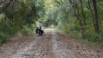 Roz looks out at Kansas “tunnels” of green. Photo by John Roberson