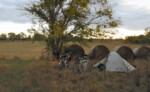 Our camp near Osage City, Kansas. Photo by John Roberson