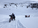 Other racers in the 2024 Cottonwood Crusher. Photo by Jill Homer