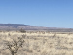 Antelope! Bikepacking around Sierra Ladrones. Photo by Don Scheese