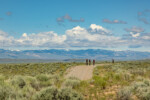 Wyo 131 Gravel Grinder 18