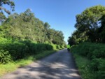 Withlachoochee State Trail 1