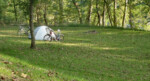 Roz and John’s campsite on the C & O Canal Towpath. Photo by John Roberson