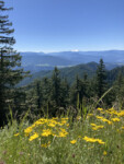 Epic view from the Alpine Trail. Photo by Tom Jow